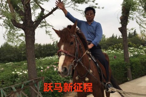 人间自有我风光