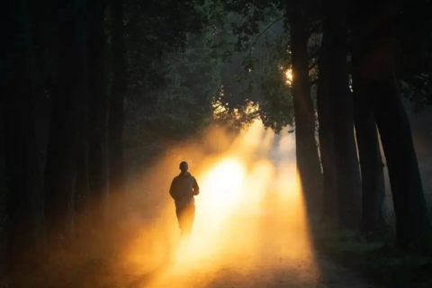 向光而行，那是人类最初的模样